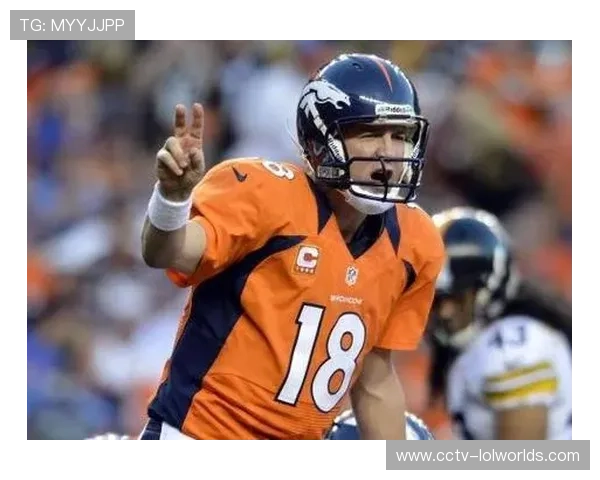 新英格兰爱国者教练比利切克博弈论应用曾引争议